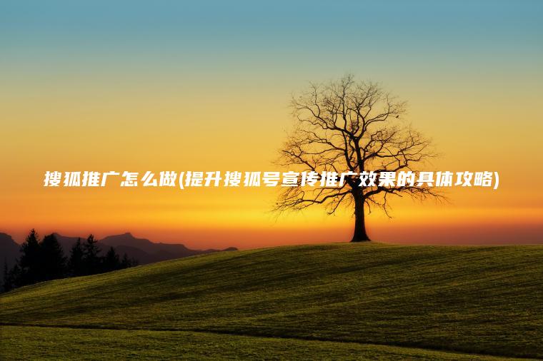 搜狐推廣怎么做，提升搜狐號宣傳推廣效果的具體攻略(附2023年最新排行榜前十名單)