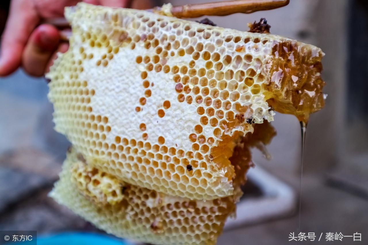 蜂蜜的种类有哪些(6种蜂蜜的种类和等级划分)