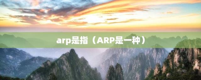 ARP是一种(arp是指)