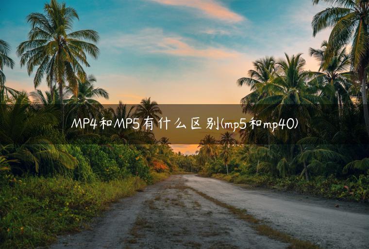 MP4和MP5有什么区别(mp5和mp40)