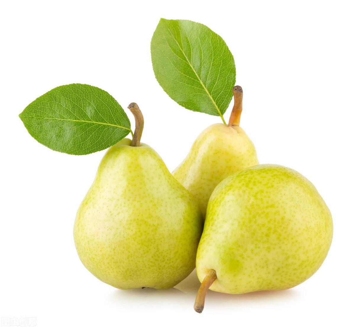梨子的常见种类口感介绍(梨的品种及图片名称)