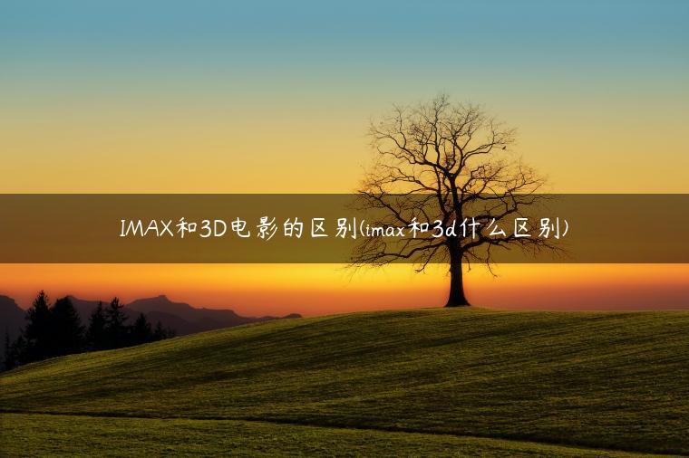 IMAX和3D电影的区别(imax和3d什么区别)