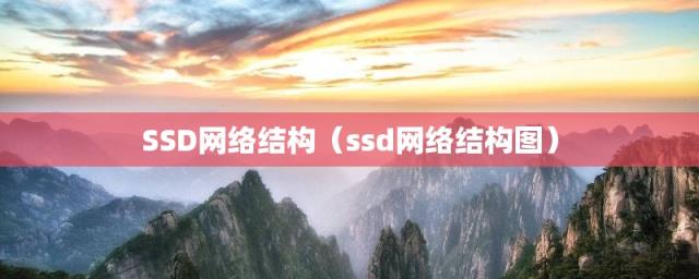 ssd网络结构图(SSD网络结构)