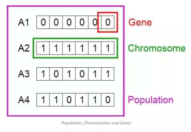 遗传算法实例(基于遗传算法的案例)