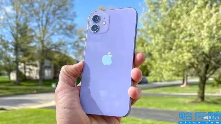 苹果12紫色建议买吗(iPhone12猛男紫上手体验)