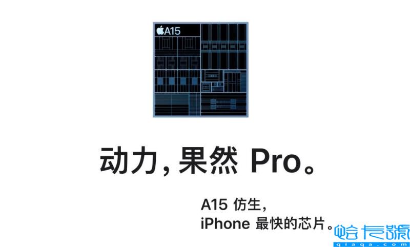 苹果13与苹果13pro的区别(iPhone 13和iPhone 13 Pro购买建议)