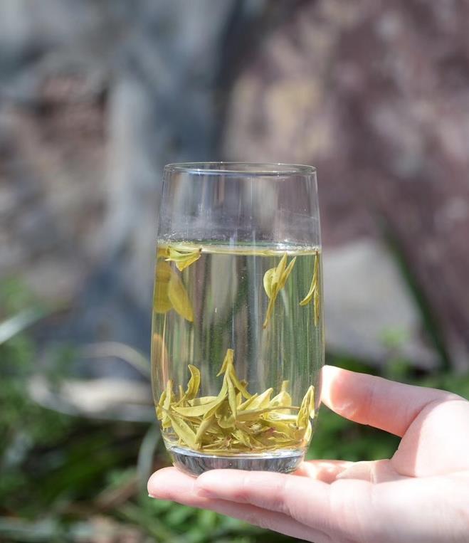 杭州西湖龙井是绿茶吗(龙井茶是绿茶吗)